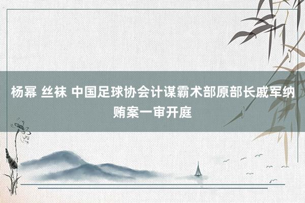 杨幂 丝袜 中国足球协会计谋霸术部原部长戚军纳贿案一审开庭